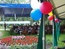 Piknik Szkoły Muzycznej 08.06.2025_6
